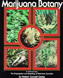 Marijuana Botany by Robert Connell Clarke (1991, Paperback)