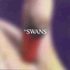 CD: Photographs And Letters Swans, 1999