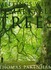 Book: Meetings With Remarkable Trees - Thomas Pakenham
