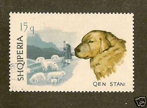 rare dog art stamp maremma sheepdog albania large cto  zoom  enlarge