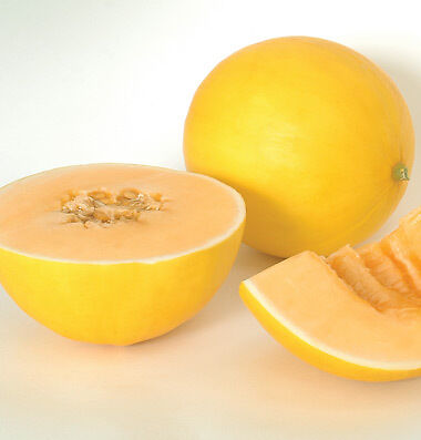 HONEY YELLOW SWEET MELON 10 SEEDS  RARE  