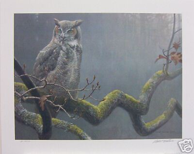 Robert BATEMAN print In The Oak Great Horned Owl A.P.  