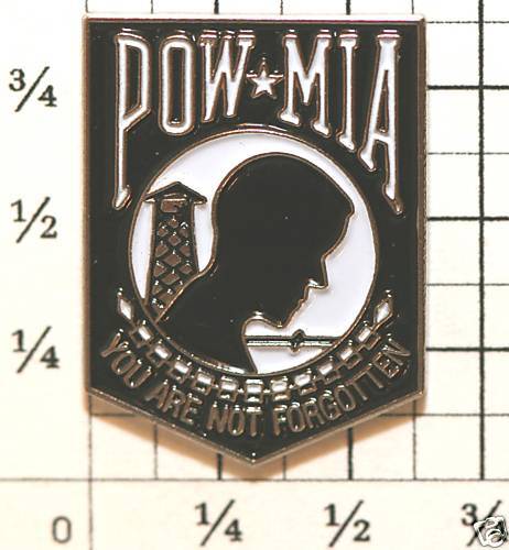 Vietnam Veteran POW MIA Lapel Pin *TOP QUALITY*  