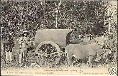 indochina, Mois Charrette Boeufs, Bullock Cart (1910s)  