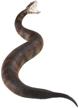 Cottonmouth Water Moccasin ~ FREE SHIP $25.+ SAFARI NEW  