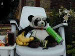 gizzmopanda